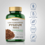 Pygeum standardisiert (doppelt wirksam 25 %), 100 mg, 240 Kapseln mit schneller FreisetzungImage - 2