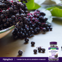 Sambucus Black Elderberry plus C & Zinc Gummies (Natural Berry), 50 Vegan GummiesImage - 5