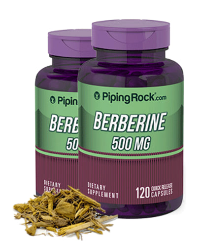 Berberiini