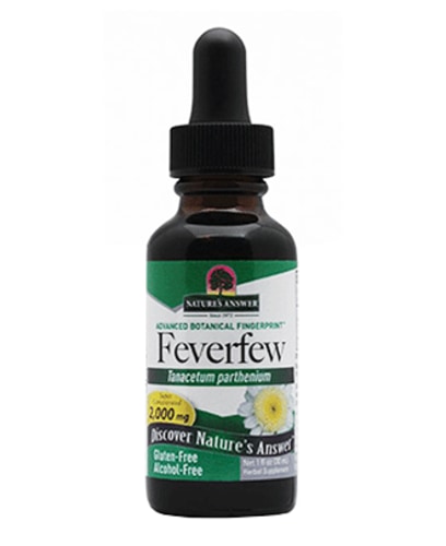 Feverfew