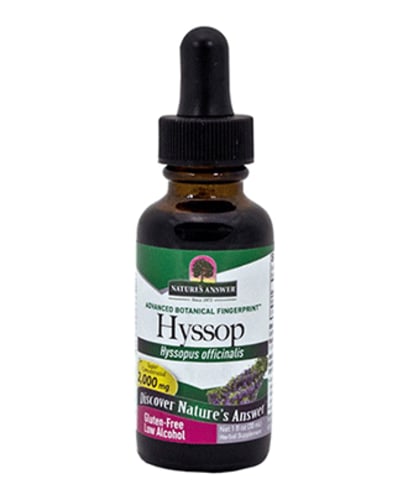 Hyssop