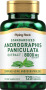 Andrographis Paniculata-ekstrakt, 8000 mg, 120 Kapsler for hurtig frigivelse