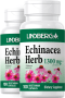 Echinacea bylina, 1300 mg (v jednej dávke), 100 Vegetariánske kapsuly, 2  Fľaše