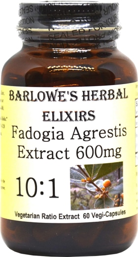 Fadogia Agrestis-Extrakt, 600 mg, 60 Vegetarische Kapseln