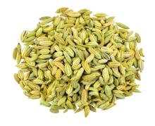 Fennel Seed Whole (Organic), 1 lb (453.6 g) Bag