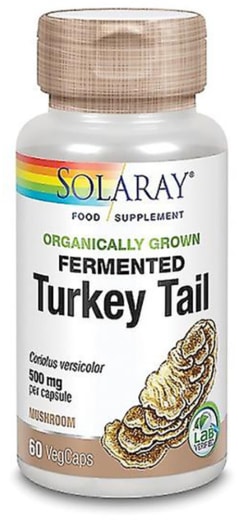 Fermented Turkey Tail, 500 mg, 60 Vegetarian Capsules