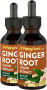 Ginger Root Liquid Extract Alcohol Free, 2 fl oz (59 mL) Dropper Bottle, 2  Bottles