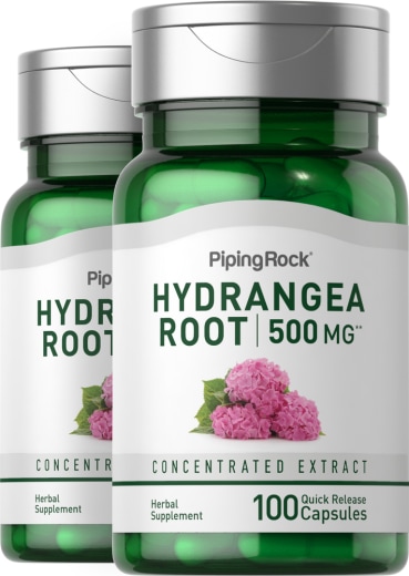 Hydrangea Root, 500 mg, 100 Quick Release Capsules, 2  Bottles