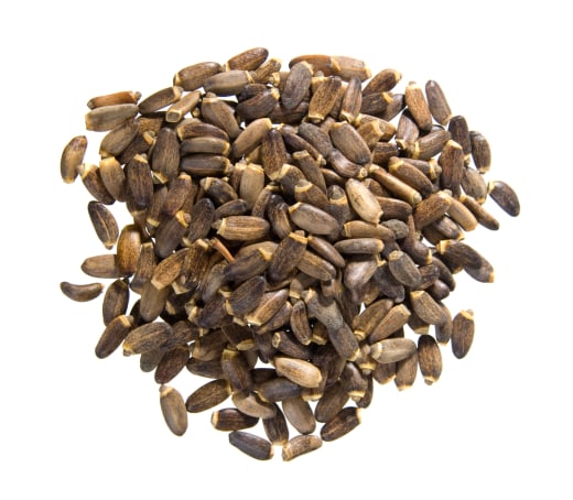 Semienka pestreca mariánskeho v celku (Organické), 1 lb (453.6 g) Vrecko