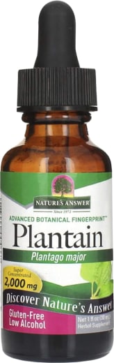 Feuille de plantain (Plantago Major), 2000 mg, 1 fl oz (30ml) Compte-gouttes en verre