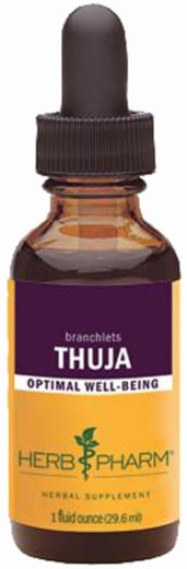 Thuja-Flüssigextrakt, 1 fl oz (30 mL) Tropfflasche