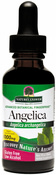 Angelica Root Liquid Extract Herbal 1 fl oz