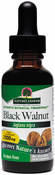 Zwarte walnootschillen vloeibaar extract alcoholvrij 1 fl oz (30 mL) Druppelfles