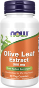 Olive Leaf Extract, 500 mg, 120 Vegetarian Capsules