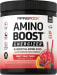 Amino Boost Energizer Powder (Frosty Fruit Punch), 10.26 oz (291 g) Bottle
