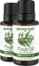 Thuja Essential Oil  1/2 oz (15 ml) Pure Oil Therapeutic Grade
